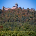 Haut-Koenigsbourg - 026